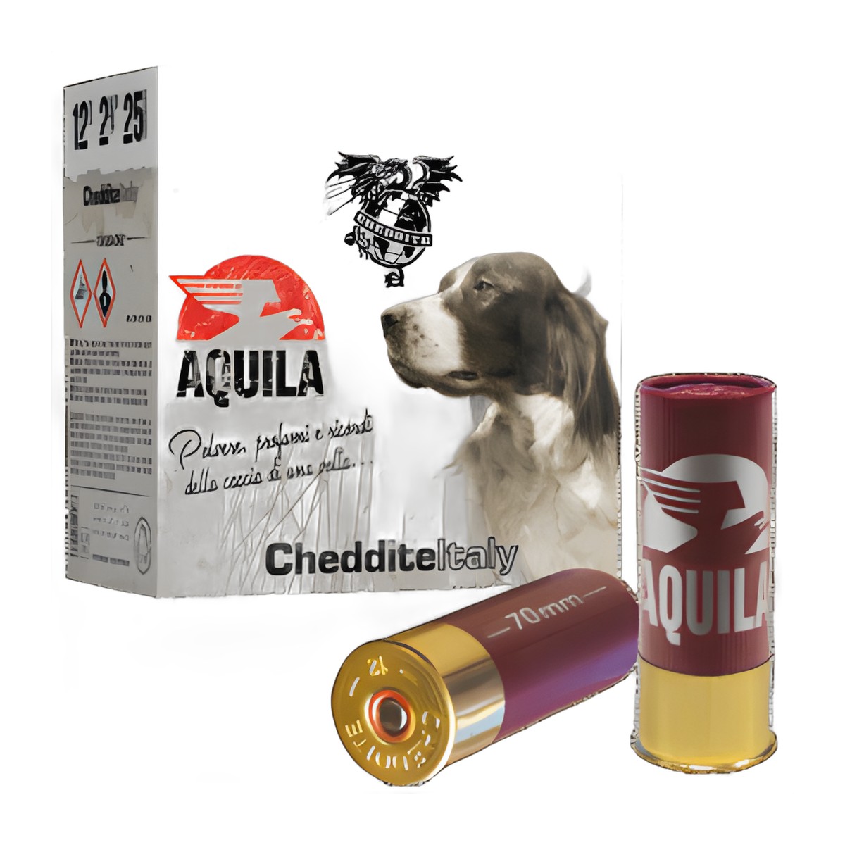 Aquıla 34-5